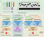 DeepCRISPR: optimized CRISPR guide RNA design by deep learning
