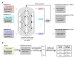 Integrating multiple references for single-cell assignment