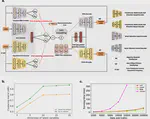A deep generative model for multi-view profiling of single-cell RNA-seq and ATAC-seq data