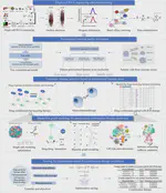 Personalized tumor combination therapy optimization using the single-cell transcriptome