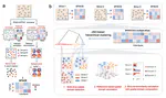 Multi-slice spatial transcriptome domain analysis with SpaDo