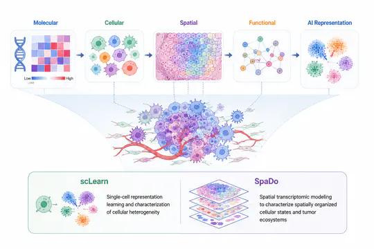 Tumor State Representation