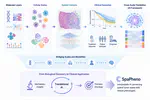 Tumor State Translation